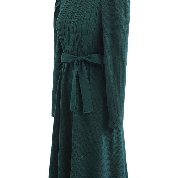 HOST PICK⭐️BRAID KNIT GIGOT SLEEVE MIDI DRESS IN DARK GREEN - Picture 10 of 11